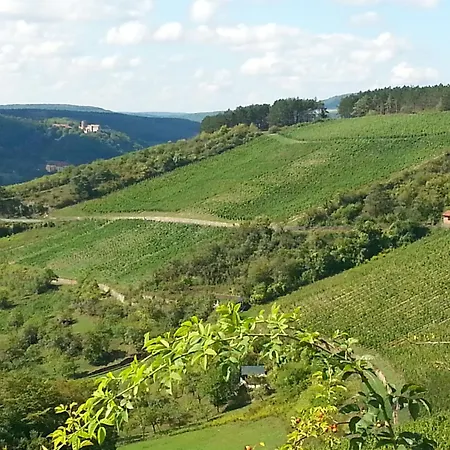 Wengertshaus Hammelburg