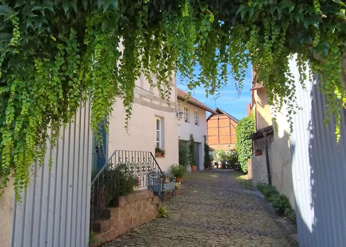 Apartament Wengertshaus Hammelburg